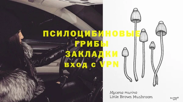 прущий лед Нефтегорск