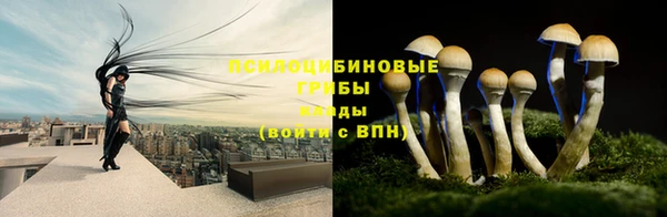 стаф Нея