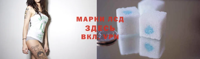 стаф Нея