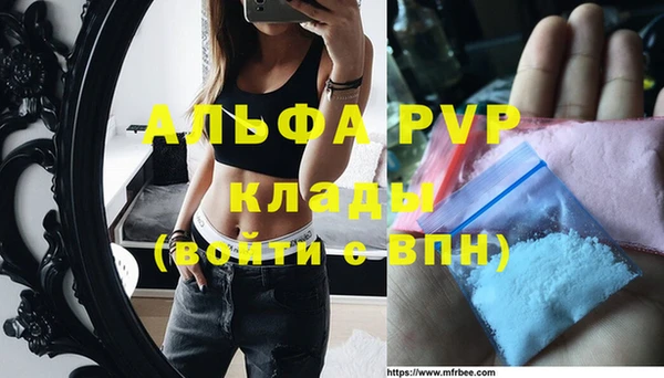 стаф Нея